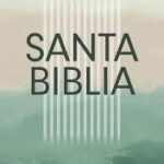 BIBLIA NTV EDICION SEMILLA TEXTO VERDE TAPA RUSTICA