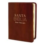 BIBLIA RVR60 025 CLASICA MARRÓN TAMAÑO BOLSILLO