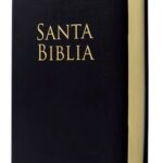 BIBLIA RVR60 NEGRO VINIL TAMAÑO MANUAL