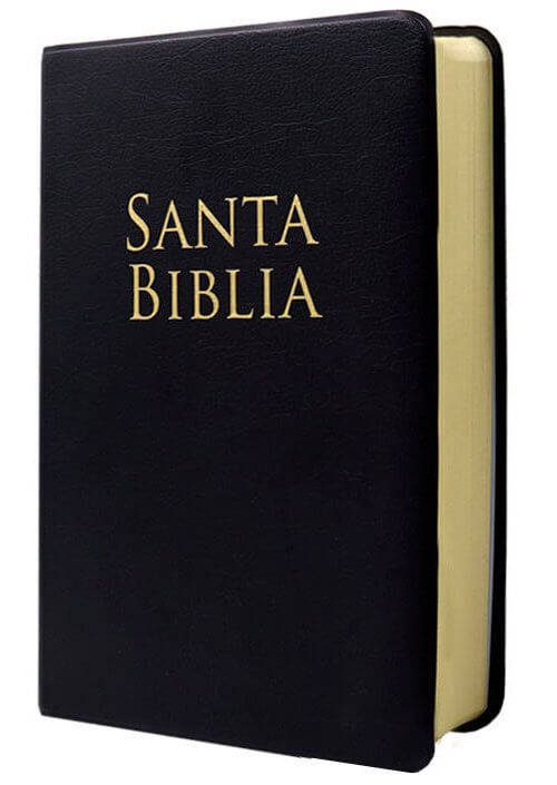 NEGRO VINIL BIBLIA RVR60 NEGRO VINIL TAMAÑO MANUAL - Imagen 1