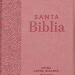 BIBLIA RVR60 088 ROSADO TAMAÑO GRANDE