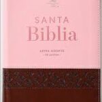 BIBLIA RVR60 068 MARIPOSAS ROSADO/CAFÉ CON INDICE Y CIERRE TAMAÑO MANUAL