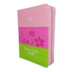 BIBLIA RVR60 045 TRICOLOR ROSADO/FUCSIA/VERDE CON INDICE Y CIERRE TAMAÑO PORTATIL