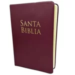 BIBLIA RVR60 VINO VINIL TAMAÑO MANUAL