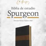 BIBLIA DE ESTUDIO SPURGEON RV60 SIMIL PIEL NEGRO