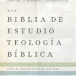 BIBLIA DE ESTUDIO TEOLOGIA BIBLICA D. A. CARSON NVI SIMIL PIEL MARRON